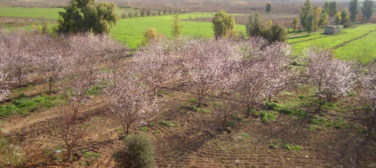 ئاگره‌كه‌ی شالیار؛ جارێكیتر خه‌ڵكه‌كه‌ی بێ هیوا كرد